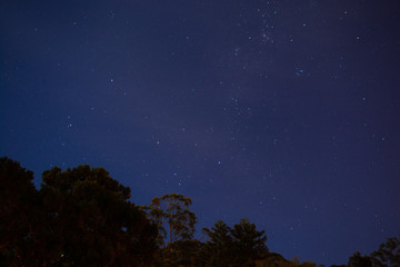 Fototapeta premium Estrelas