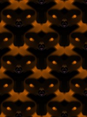 Eerie amber and black background with Intermeshed insects