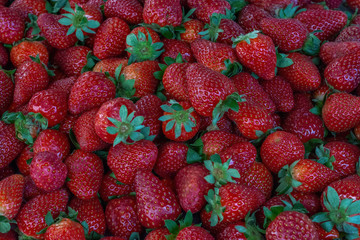 Strawberries in farmer's fair fruit shop