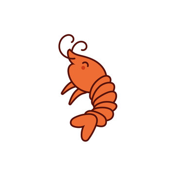 cute shrimp animal comic character