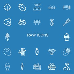 Editable 22 raw icons for web and mobile