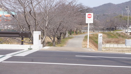 冬の桜並木