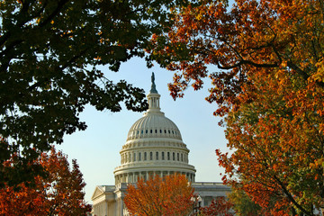 US Capitol Through the Autumn Leaves (DC 0022)