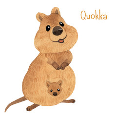 Cute kawaii hand drawn watercolor art. Smiling australian quokka with baby in bag. Isolated on white background © LukaJreym