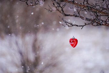 Heart ornament that says Love for Valentine's Day hanging from outdoor tree branch in snowfall