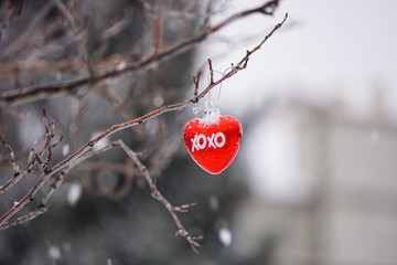 Red heart ornament for XOXO Valentine's Day hanging on outdoor tree during snowfall