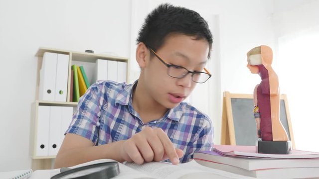 Young asian boy reading book, preparing for examination.