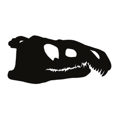Archosaurus rossicus fossilized skull silhouette image. Carnivorous archosauriform reptile dinosaur fossil illustration black print