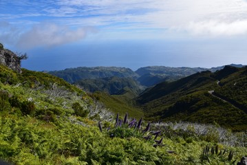 Landscape of green mountains of Madeira Island - view from the trial to Pico Ruivo.