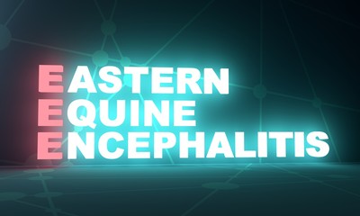 Acronym EEE - Eastern Equine Encephalitis. Medical conceptual image. 3D rendering. Neon bulb illumination