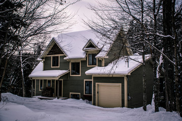 house in winter forest