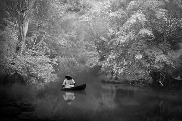 boating in the dream forest