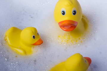 Yellow rubber duck