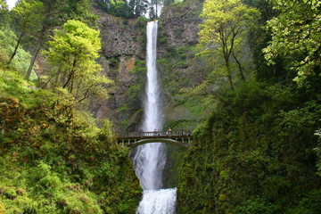Multnomah Falls (OR 00134)
