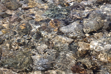 Clean mountain river with a rocky bottom close-up.