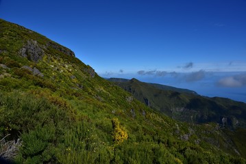 Fototapeta na wymiar Landscape of green mountains of Madeira Island - view from the trial to Pico Ruivo.