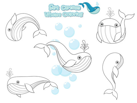 Coloring the Cute Whales Cartoon Set. Educational Game for Kids. Vector illustration With Cartoon Happy Animal