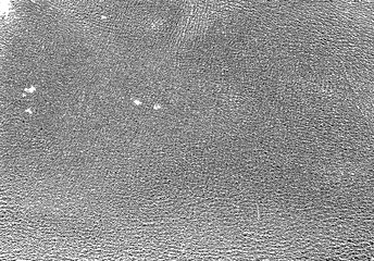 vector pattern the texture of the skin of the animal. genuine leather