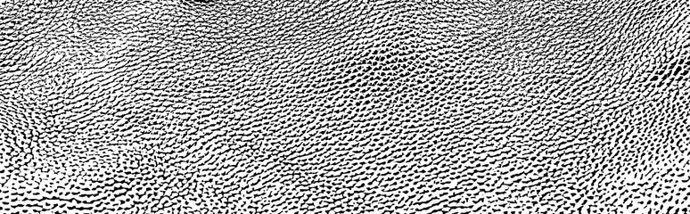 vector pattern the texture of the skin of the animal. genuine leather