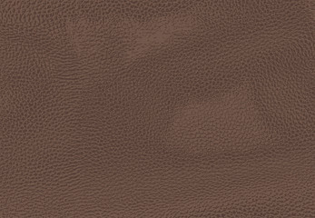 vector pattern the texture of the skin of the animal. genuine leather