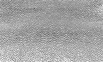 vector pattern the texture of the skin of the animal. genuine leather