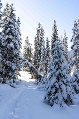 Canada Landscape. View of snow covered mountain scenery, Bow river and Three Sisters in winter. Beautiful snowy day in Canadian Rockies. Canmore, Alberta, Canada.
