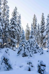 Canada Landscape. View of snow covered mountain scenery, Bow river and Three Sisters in winter. Beautiful snowy day in Canadian Rockies. Canmore, Alberta, Canada.