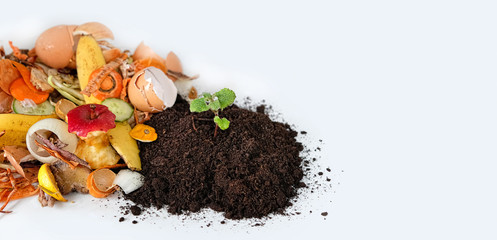 Compost from fruits, vegetable scraps and plant sprout in ground . waste for recycling. Food waste...
