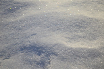 snow texture with some plants on it