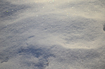 snow texture with some plants on it
