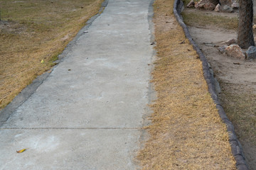 path in the park