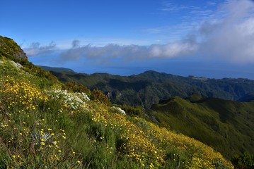 Landscape of green mountains of Madeira Island - view from the trial to Pico Ruivo.