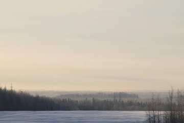Winter nature landscape with snowy field, forest and gray sky