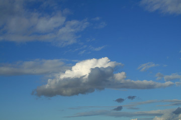 Clouds (WA 00332)