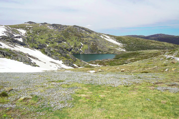 Albina Lake Summer  