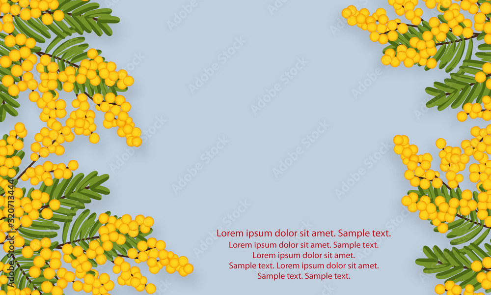 Poster mimosa flowers with branches and leaves on light background. view with copy space add text. spring y