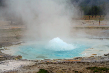 Geyser in Yellowstone (WY 00517)