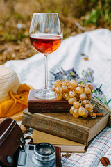 Glass of rose wine on a provencal style autumn picnic.