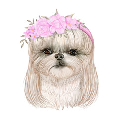 adorable cute dog with hair and flower crowns watercolor illustration