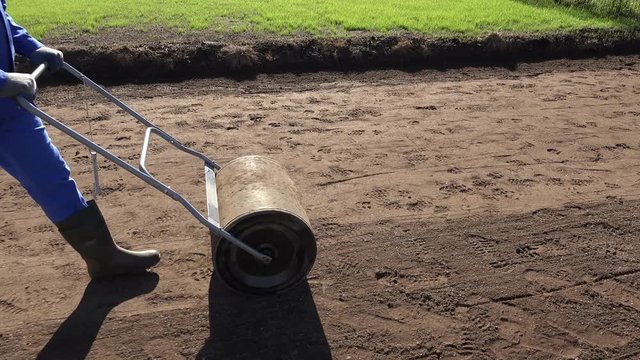 Soil compaction with roller after seeding lawn in yard. Handheld motion shot.