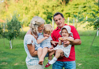Senior grandparents with toddler grandchildren outdoors in garden in summer.