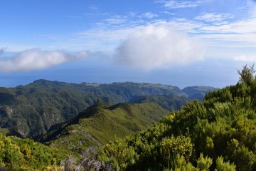 Obraz premium Landscape of green mountains of Madeira Island - view from the trial to Pico Ruivo.