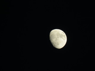 Luna