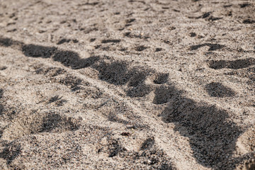 Close up of sand