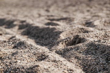 Close up of sand