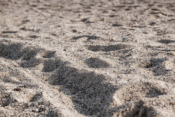 Close up of sand