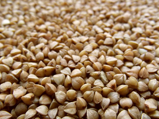 Dry buckwheat.