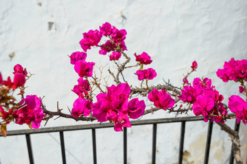 Village of Torrox, Andalusia, Spain, Europe