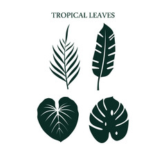 tropical green leaf icon set vector logo 