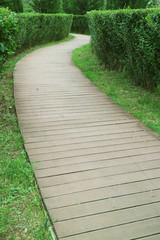 Vertical image of an empty wooden path in the park